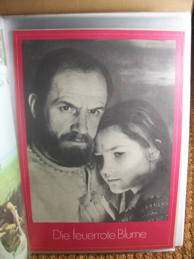 Artikelbild 1 des Artikels “9/1979 Die feuerrote Blume “