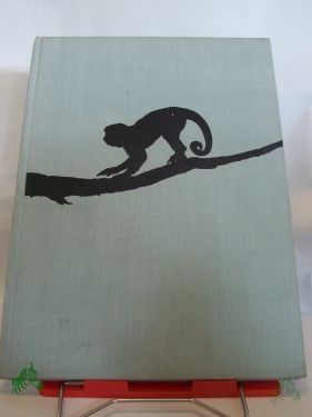 Artikelbild 1 des Artikels “Besuch bei Affen / V. J. Stanek “