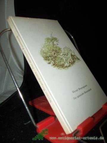 Product image of the product “Der spanische Rosenstock : Novelle / Werner Bergengruen ”
