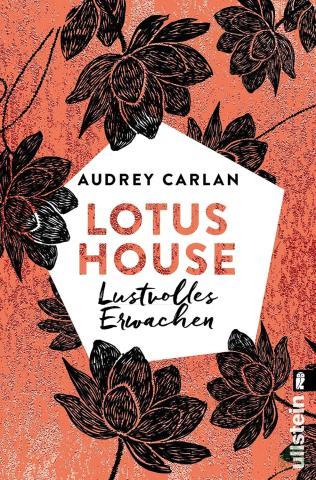 Product image of the product “Lustvolles Erwachen / Audrey Carlan ; aus dem Amerikanischen von Ulrike Peters-Kania ”