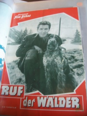 Artikelbild des Artikels “ “