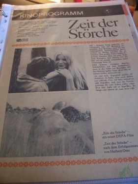 Artikelbild des Artikels “Zeit der Störche “