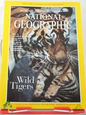Artikelbild des Artikels “12/1997 Wild Tigers “