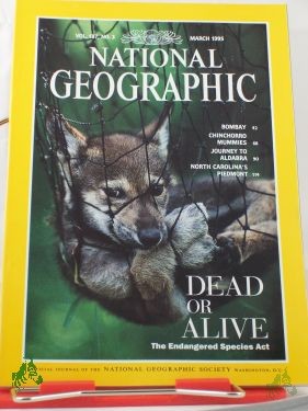 Artikelbild des Artikels “3/1995 Dead or Alive “