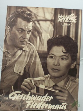 Artikelbild des Artikels “114/58, Geschwader Fledermaus “