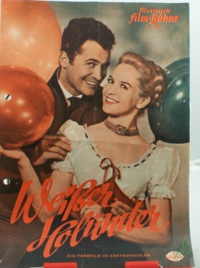 Artikelbild des Artikels “Nr. 3850, Weißer Holunder “