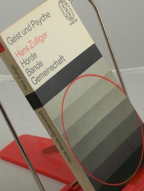 Artikelbild des Artikels “Horde, Bande, Gemeinschaft : Eine sozialpsycholog.-pädagog. Untersuchung / Hans Zulliger “