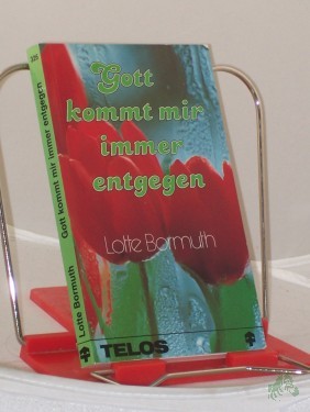 Product image of the product “Gott kommt mir immer entgegen / Lotte Bormuth ”