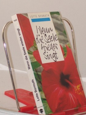 Product image of the product “Wenn die Seele wieder singt / Lotte Bormuth ”