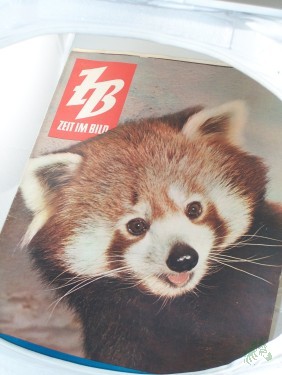 Artikelbild des Artikels “46/1960 “