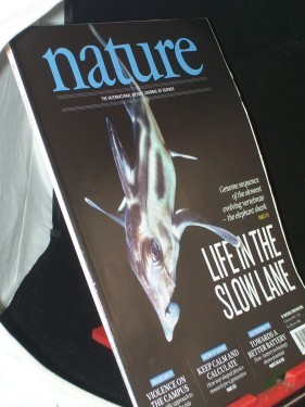Artikelbild des Artikels “Vol 505, No. 7482, Januar 2014, Life in the slow Lane “