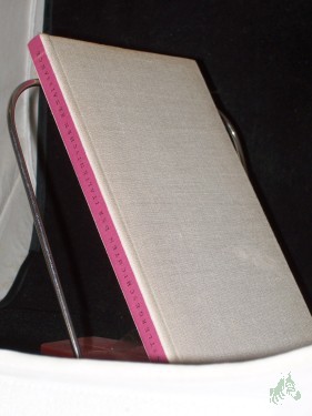 Artikelbild des Artikels “Künstlergeschichten der italienischen Renaissance / Rosemarie Widerra. Illustrationen von Max Schwimmer “