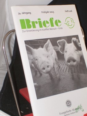 Artikelbild des Artikels “Frühjahr 2013 “