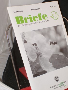 Artikelbild des Artikels “Sommer 2013 “