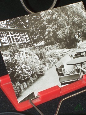 Artikelbild des Artikels “