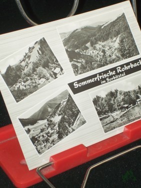 Artikelbild des Artikels “Sommerfrische Rohrbach, im Sorbitztal, 1965, “