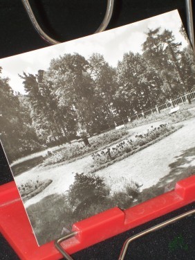 Artikelbild des Artikels “Kurbad Bad Lausick, Rosengarten, 1972 “