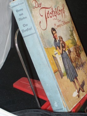 Artikelbild des Artikels “Der Trotzkopf : Eine Geschichte für junge Mädchen / von Emmy von Rhoden. M. Bild. von Fritz Bergen. Neu bearb. von Helene Faber “