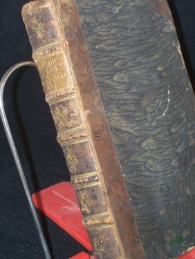 Artikelbild des Artikels “Jobus Proverbia Salomonis ecclesiastes canticum Canticorum ex recensione Textus Hebraei et versionum antiquarum latine versi notisque Philologicis et criticis illustrati. “