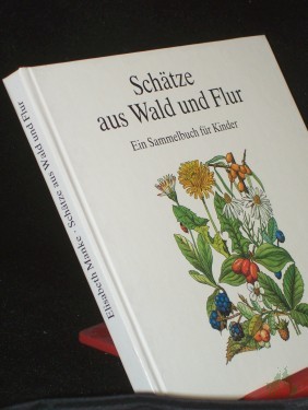 Artikelbild des Artikels “Schätze aus Wald und Flur : e. Sammelbuch für Kinder / Elisabeth Manke. [Ill. von Frank Geisler] “