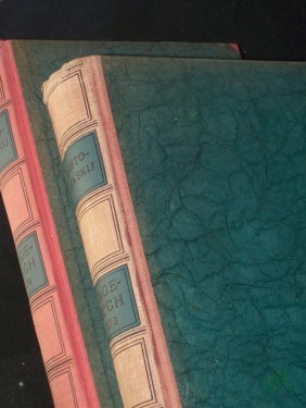 Artikelbild des Artikels “Tagebuch eines Schriftstellers Band. 1., 1873, Band. 2., Januar bis September 1876, übertragen von Alexander Eliasberg “