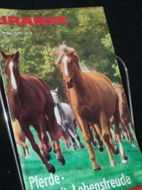 Artikelbild des Artikels “11/1975, Pferde, Freizeit, Dipl.-Ing. W.-D. Wegner Dr. H.- I. Röhr F. J. Herrmann ; Ing. G. Gnauck R. Dietrich Dipl.-Gartenbauing. T. Wengel Prof. Dr. Schwork Dr. H. Kresse Prof. Dr. S. Bock Prof. Dr. A. Katzenstein Dr. H. Stürz U. Makosch “