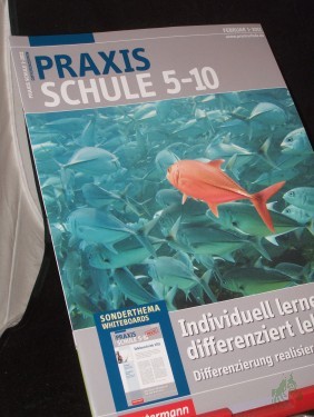 Artikelbild des Artikels “1/2011, Individuell lernen, differenziert lehren “