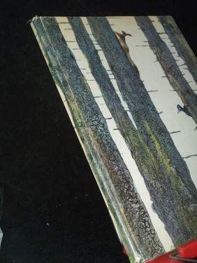 Product image of the product “Das Jahr im Wald / Sokolow-Mikitow. Dt. von V. Nowak. Zeichn. von G. Nikolski ”