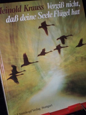 Product image of the product “Vergiss nicht, dass deine Seele Flügel hat / Texte von Meinold Krauss zu Bildern von Ernst Kirschner ”