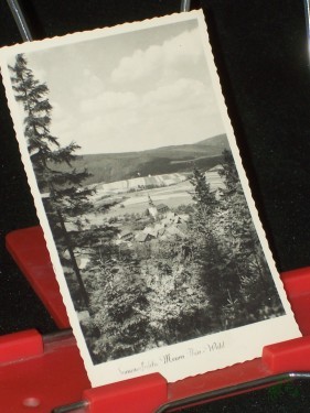 Artikelbild des Artikels “Sommerfrische Meura Thüringer Wald “