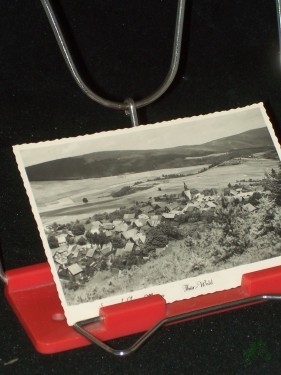 Artikelbild des Artikels “Sommerfrische Meura, Thüringer Wald “