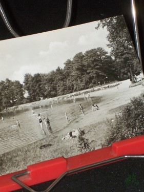 Artikelbild des Artikels “Lübschützer Teiche bei Machern. (Kreis Wurzen) Liegewiese am Badeteich “