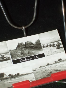 Artikelbild des Artikels “Dierhagen Ost, Foto: Annemarie Dorn “