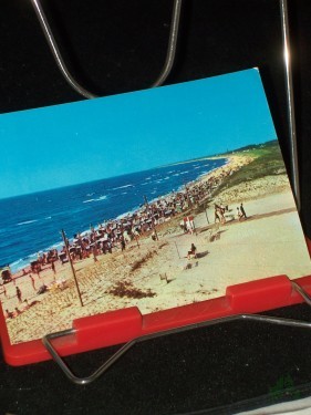 Artikelbild des Artikels “Ostseebad Dierhagen, “