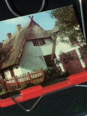 Artikelbild des Artikels “Ostseebad AHRENSHOOP, Niemannsweg, Foto Andreas Wegscheider “