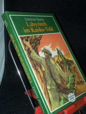 Artikelbild des Artikels “Labyrinth im Kaoko-Veld : Roman / Dietmar Beetz “