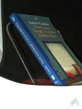 Artikelbild des Artikels “Durch einen Spiegel, in einem dunklen Wort / Jostein Gaarder. Aus dem Norweg. von Gabriele Haefs “