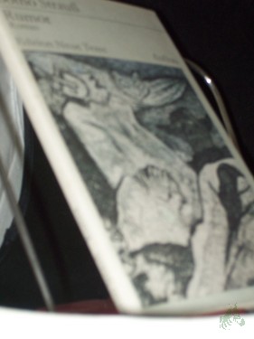 Product image of the product “Rumor : Roman / Botho Strauss ”