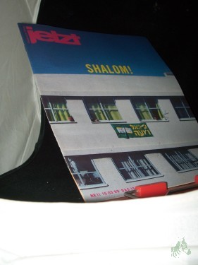 Artikelbild des Artikels “Nr. 11/1999, Shalom, Das Israel Heft “