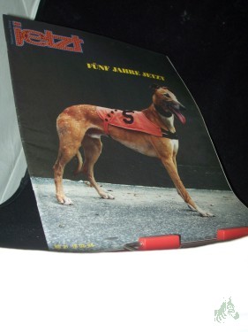 Artikelbild des Artikels “Nr 21/1998. Fünf jahre jetzt “