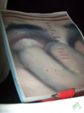 Artikelbild des Artikels “17/1999, das Gift ist noch in meinem Kopf, Die Geschichte einer zehnjährigen Drogensucht “