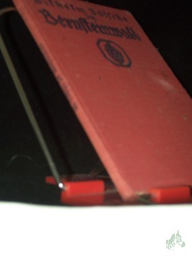 Artikelbild des Artikels “Im Bernsteinwald / Wilhelm Bölsche “