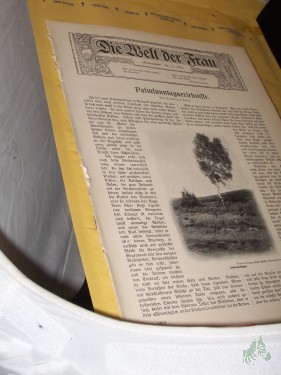 Artikelbild des Artikels “No 11, 1913, Loseblattsammlung mit zahlreichen schwarz weiß Abbildungen “