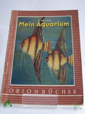 Artikelbild des Artikels “Mein Aquarium / Hermann Bollow “