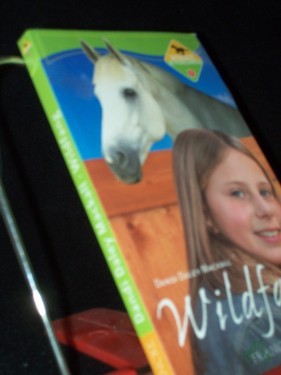 Product image of the product “Mackall, Dandi Daley: Winnie, die Pferdezähmerin Teil: Bd. 1., Wildfang ”