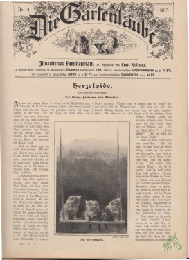 Artikelbild des Artikels “14/1905 “