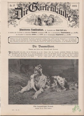 Artikelbild des Artikels “27/1905 “