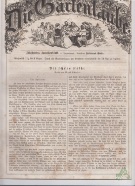 Artikelbild des Artikels “49/1855 “