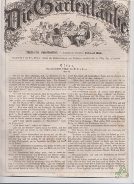 Artikelbild des Artikels “30/1855 “