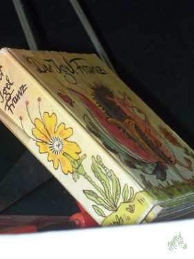 Artikelbild des Artikels “Der Igel Franz “